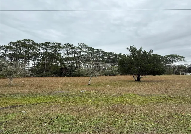 1st image of 245 Ullian Trl, Palm Coast, FL 32164 | MLS# O6284658