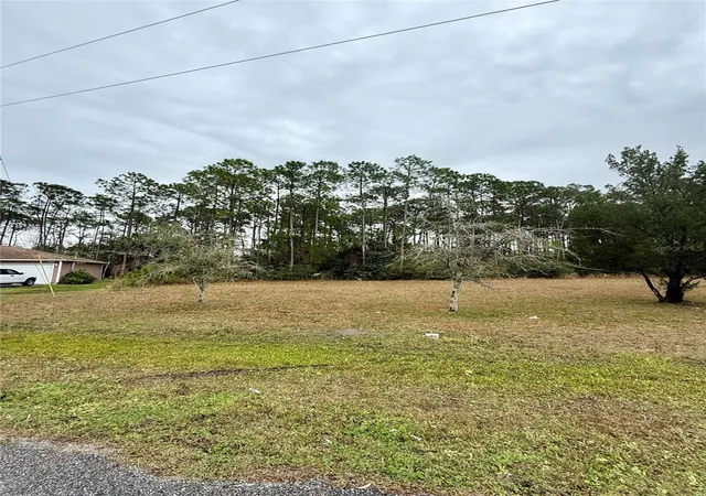 3rd image of 245 Ullian Trl, Palm Coast, FL 32164 | MLS# O6284658