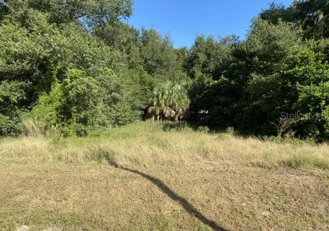 Photo 3 of Land for sale at Us 441, Eustis, FL 32726 | MLS# TB8355087 | Listing updated on 2026-08-17