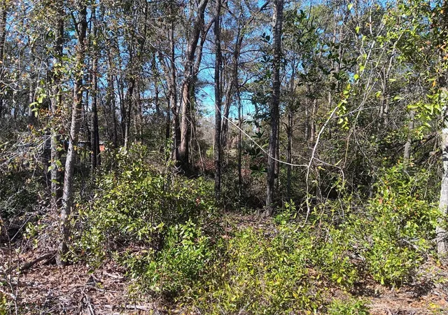 Photo 2 of Land for sale at 155 Palm Dr, Bronson, FL 32621 | MLS# OM696395 | Listing updated on 2026-03-29