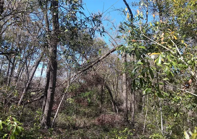 Photo 4 of Land for sale at 155 Palm Dr, Bronson, FL 32621 | MLS# OM696395 | Listing updated on 2026-03-29