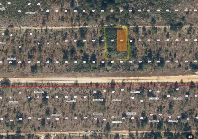 Photo 1 of Land for sale at Tbd Banyan St, Interlachen, FL 32148 | MLS# OM696443 | Listing updated on 2026-03-14