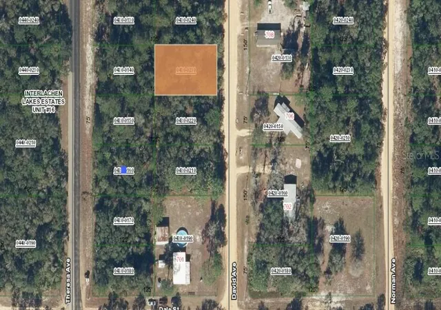 Photo 1 of Land for sale at 00 David Ave, Interlachen, FL 32148 | MLS# OM696459 | Listing updated on 2026-03-14