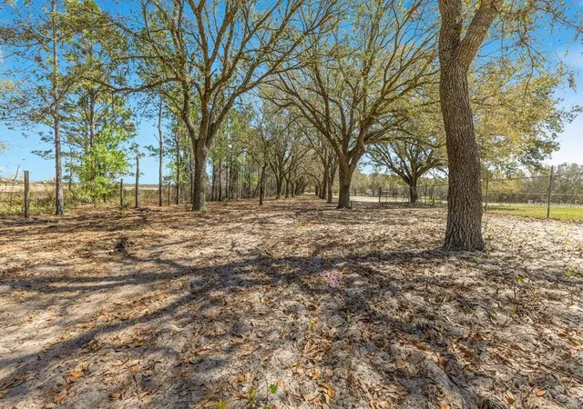 Photo 3 of Land for sale at 4649 Meadowland Dr, Mount Dora, FL 32757 | MLS# O6286774 | Listing updated on 2026-10-07