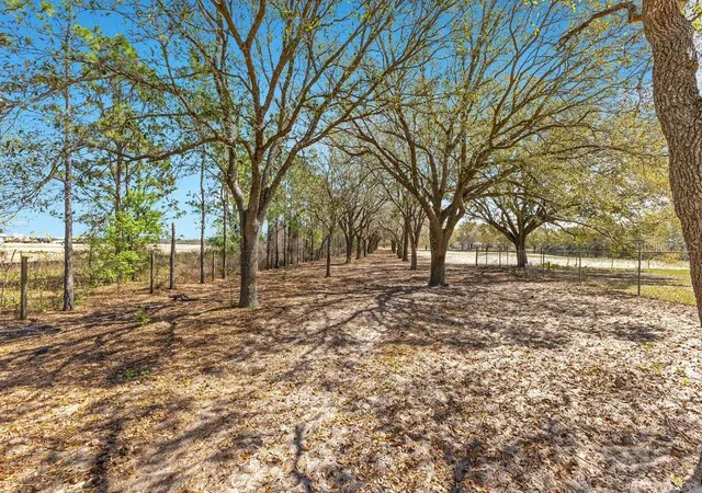 Photo 3 of Land for sale at 4649 Meadowland Dr, Mount Dora, FL 32757 | MLS# O6286774 | Listing updated on 2026-10-07