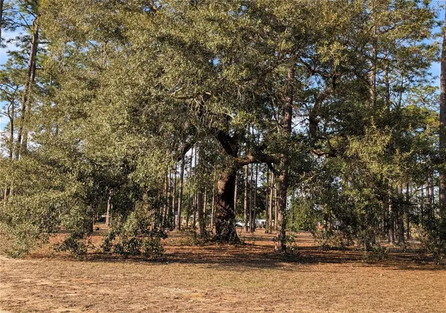 Photo 64 of Single family home for sale at 3808 San Gabriel Dr, Pensacola, FL 32504 | MLS# O6286859 | Listing updated on 2026-02-08