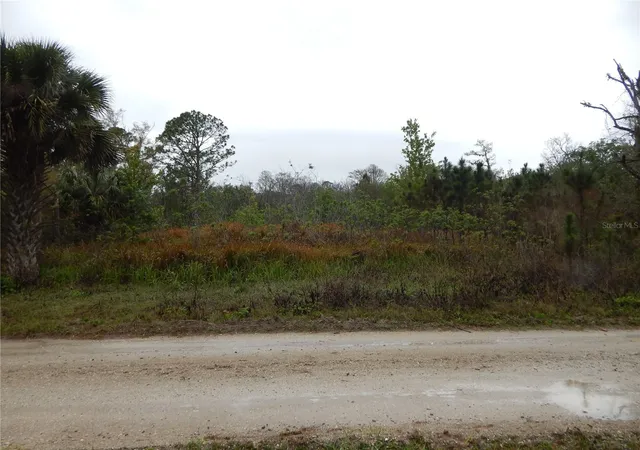 Photo 1 of Land for sale at 0 Robin Trl, Kissimmee, FL 34747 | MLS# TB8357799 | Listing updated on 2026-08-27