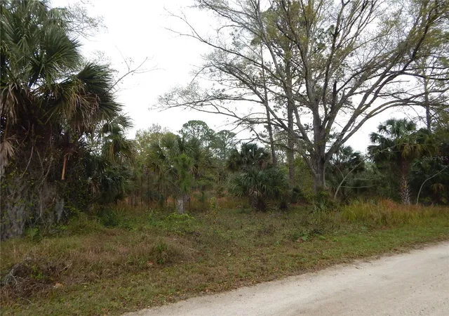 Photo 2 of Land for sale at 0 Robin Trl, Kissimmee, FL 34747 | MLS# TB8357799 | Listing updated on 2026-08-27