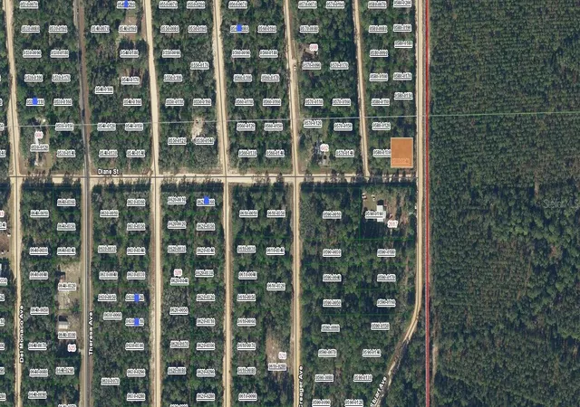 Photo 1 of Land for sale at Diane St, Interlachen, FL 32148 | MLS# OM696543 | Listing updated on 2026-03-14