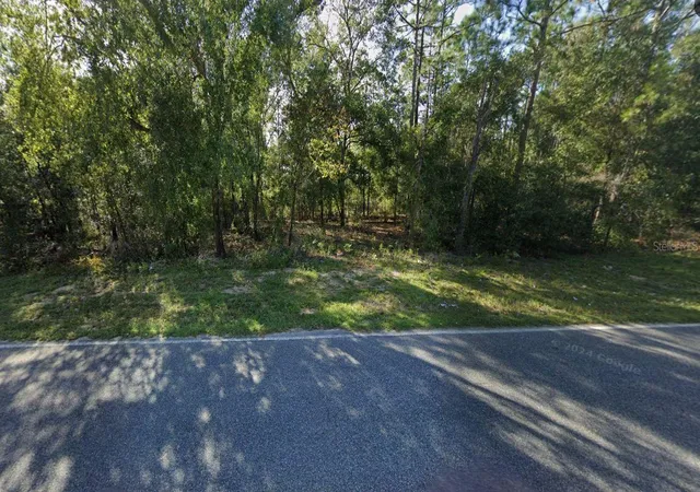 Photo 3 of Land for sale at 465 Baden Powell Rd, Hawthorne, FL 32640 | MLS# OM696559 | Listing updated on 2025-03-06