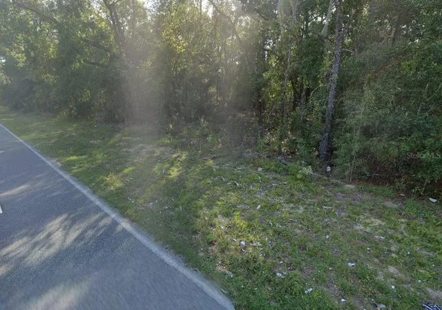Photo 3 of Land for sale at 465 Baden Powell Rd, Hawthorne, FL 32640 | MLS# OM696559 | Listing updated on 2025-03-06
