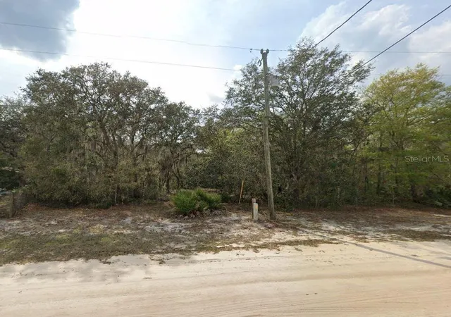 Photo 3 of Land for sale at Violet Cir, Interlachen, FL 32148 | MLS# OM696582 | Listing updated on 2026-02-22