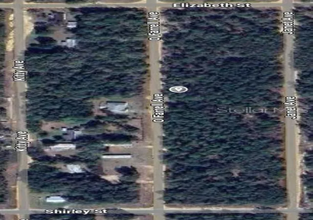 Photo 2 of Land for sale at O Farrel Ave, Interlachen, FL 32148 | MLS# OM696588 | Listing updated on 2026-02-23
