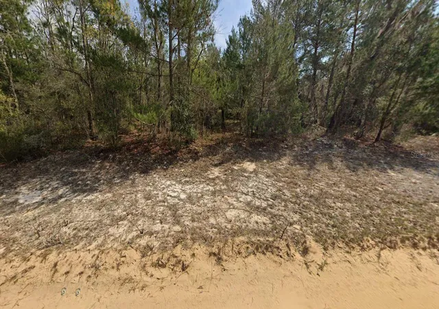 Photo 3 of Land for sale at O Farrel Ave, Interlachen, FL 32148 | MLS# OM696588 | Listing updated on 2026-02-23