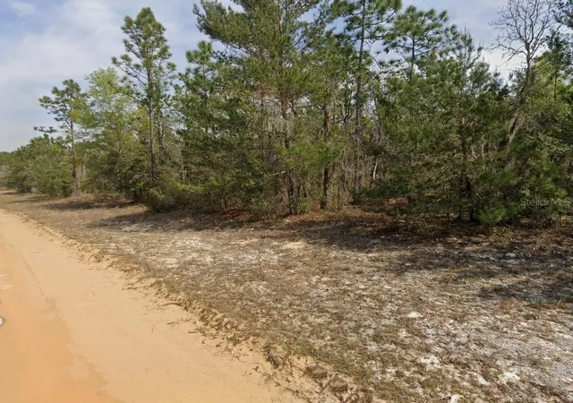 Photo 3 of Land for sale at O Farrel Ave, Interlachen, FL 32148 | MLS# OM696588 | Listing updated on 2026-02-23