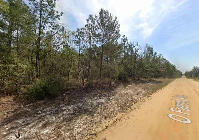 Photo 4 of Land for sale at O Farrel Ave, Interlachen, FL 32148 | MLS# OM696588 | Listing updated on 2026-02-23
