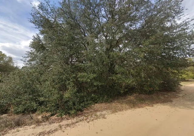 Photo 3 of Land for sale at 821 Kitty Ave, Interlachen, FL 32148 | MLS# OM696591 | Listing updated on 2026-02-23