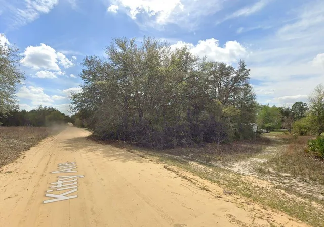 Photo 4 of Land for sale at 821 Kitty Ave, Interlachen, FL 32148 | MLS# OM696591 | Listing updated on 2026-02-23