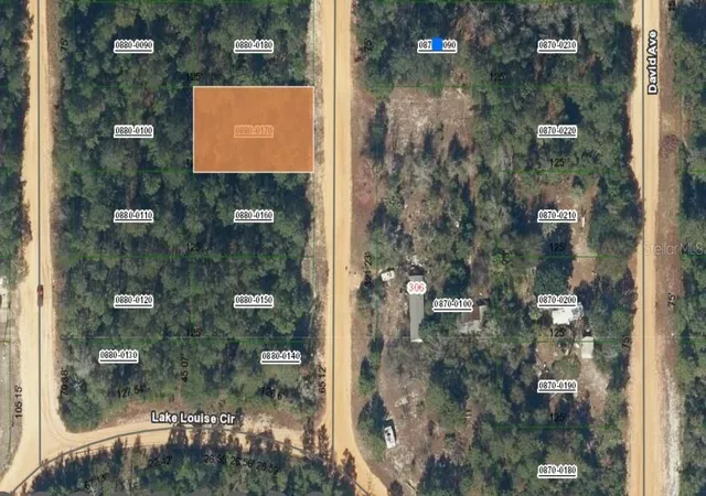 Photo 1 of Land for sale at Lot 17 Theresa Ave, Interlachen, FL 32148 | MLS# OM696597 | Listing updated on 2026-02-20