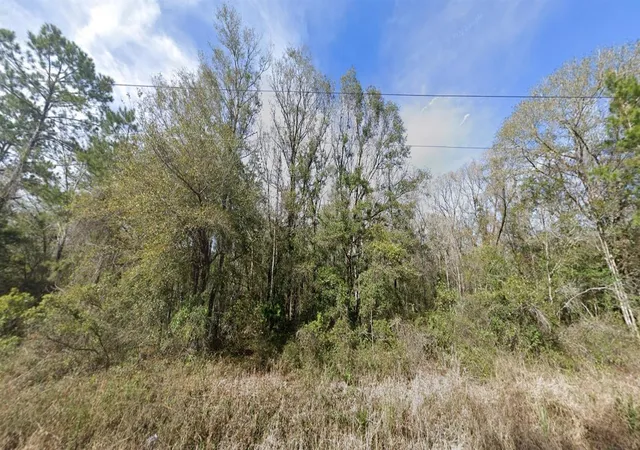 Homes for sale in Hastings, FL | 4590 Jonathan St, Hastings, FL 32145 | MLS# FC307939