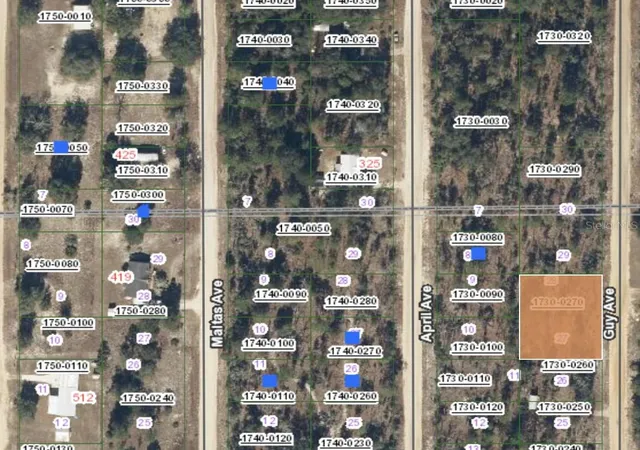 Photo 1 of Land for sale at 00 Guy Ave, Interlachen, FL 32148 | MLS# OM696858 | Listing updated on 2026-03-01