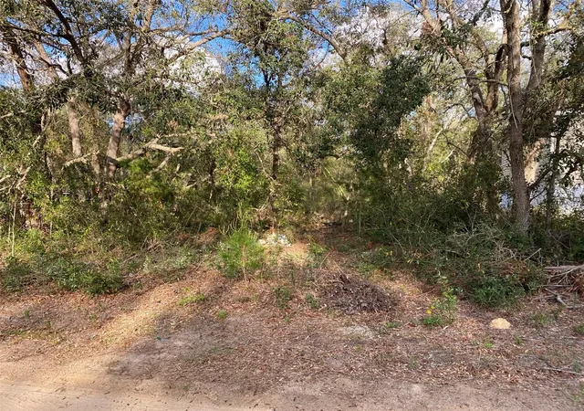 2nd image of Dogwood Way, Lady Lake, FL 32159 | MLS# G5094033