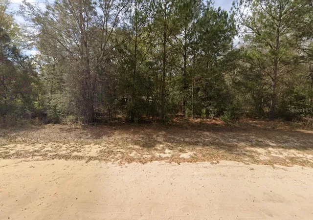 Photo 3 of Land for sale at Lenore Ave, Interlachen, FL 32148 | MLS# OM696907 | Listing updated on 2025-03-11