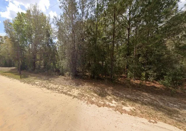 Photo 3 of Land for sale at Lenore Ave, Interlachen, FL 32148 | MLS# OM696907 | Listing updated on 2025-03-11