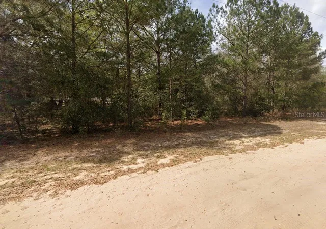 Photo 4 of Land for sale at Lenore Ave, Interlachen, FL 32148 | MLS# OM696907 | Listing updated on 2025-03-11