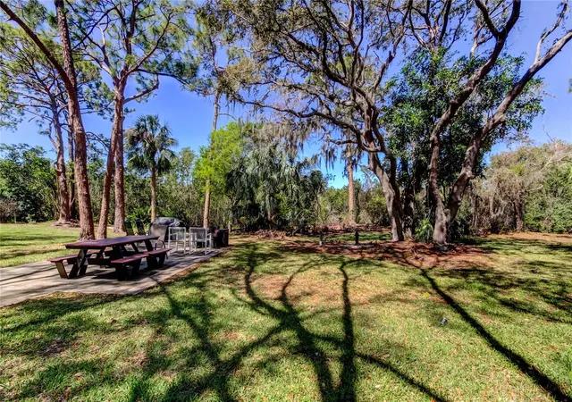 50th image of 5521 80th St N #315, Saint Petersburg, FL 33709 | MLS# TB8360044