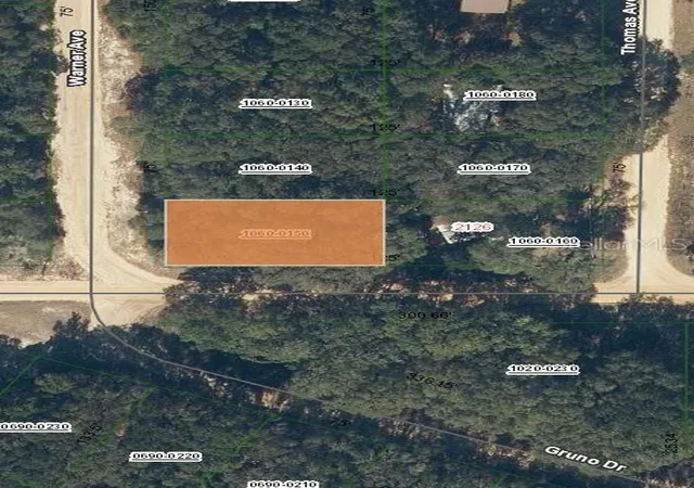 Photo 1 of Land for sale at 00 Denise St, Interlachen, FL 32148 | MLS# OM696922 | Listing updated on 2025-03-12
