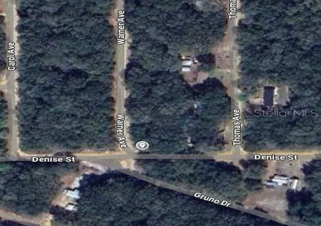 Photo 2 of Land for sale at 00 Denise St, Interlachen, FL 32148 | MLS# OM696922 | Listing updated on 2025-03-12