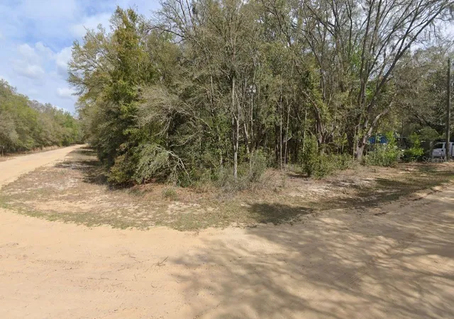 Photo 3 of Land for sale at 00 Denise St, Interlachen, FL 32148 | MLS# OM696922 | Listing updated on 2025-03-12