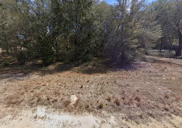 Photo 4 of Land for sale at 00 Denise St, Interlachen, FL 32148 | MLS# OM696922 | Listing updated on 2025-03-12
