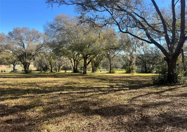 5th image of 000 Se 118Th Lane, Belleview, FL 34420 | MLS# OM696975