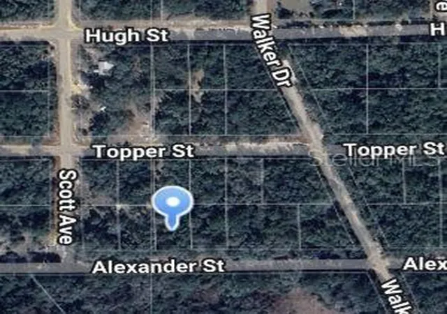 Photo 1 of Land for sale at 00 Alexander St, Interlachen, FL 32148 | MLS# OM697014 | Listing updated on 2025-03-12