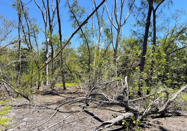 1st image of The Island Property Manasota Key, Englewood, FL 34224 | MLS# C7506730