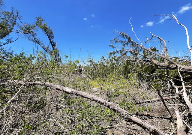 Photo 4 of Land for sale at Manasota Key Is, Englewood, FL 34224 | MLS# C7506730 | Listing updated on 2026-08-08