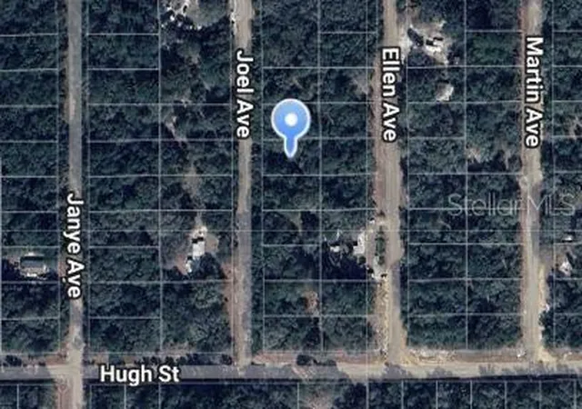 Photo 1 of Land for sale at Joel Ave, Interlachen, FL 32148 | MLS# OM697106 | Listing updated on 2025-03-13