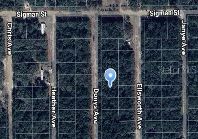 Photo 1 of Land for sale at Donys Ave, Interlachen, FL 32148 | MLS# OM697118 | Listing updated on 2025-03-13