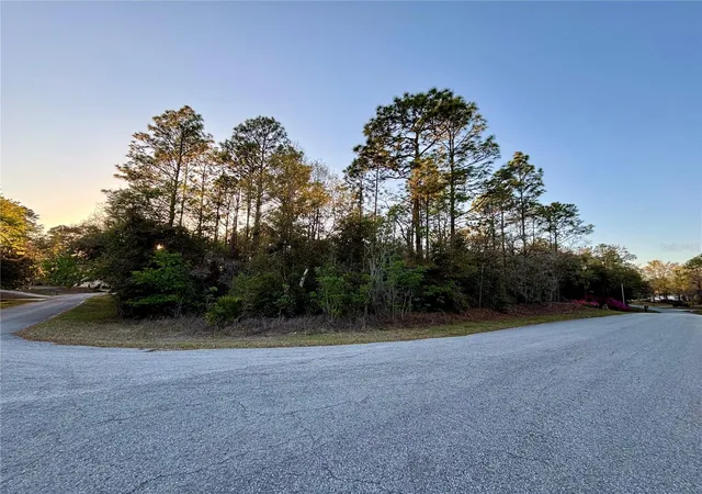 Homes for sale in Dunnellon, FL | Lot 33 Sw 97 Pl, Dunnellon, FL 34431 | MLS# OM697254