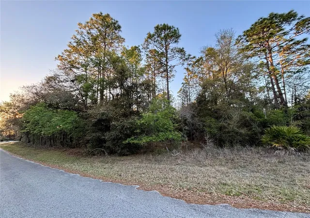Homes for sale in Dunnellon, FL | Lot 33 Sw 97 Pl, Dunnellon, FL 34431 | MLS# OM697254