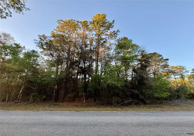 Homes for sale in Dunnellon, FL | Lot 33 Sw 97 Pl, Dunnellon, FL 34431 | MLS# OM697254