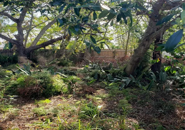 Photo 3 of Land for sale at Virginia Ave, Tarpon Springs, FL 34689 | MLS# TB8362535 | Listing updated on 2026-08-31