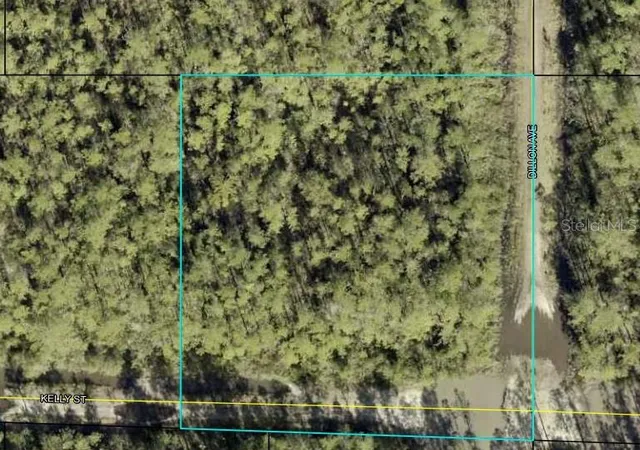 1st image of 000 Kelly St, Hastings, FL 32145 | MLS# FC308144