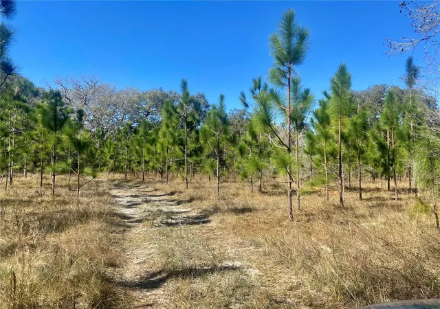 Photo 1 of Land for sale at 01 Unnamed, Spring Hill, FL 34610 | MLS# TB8362819 | Listing updated on 2026-09-03