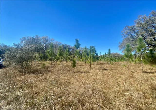 Photo 3 of Land for sale at 01 Unnamed, Spring Hill, FL 34610 | MLS# TB8362819 | Listing updated on 2026-09-03