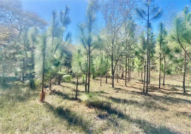 Photo 3 of Land for sale at 01 Unnamed, Spring Hill, FL 34610 | MLS# TB8362819 | Listing updated on 2026-09-03