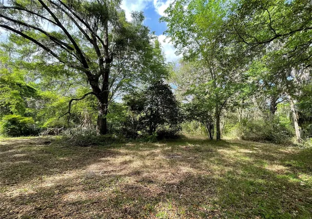1st image of 17400 Nw 120th Ave Rd, Reddick, FL 32686 | MLS# OM697450