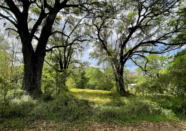 2nd image of 17400 Nw 120th Ave Rd, Reddick, FL 32686 | MLS# OM697450